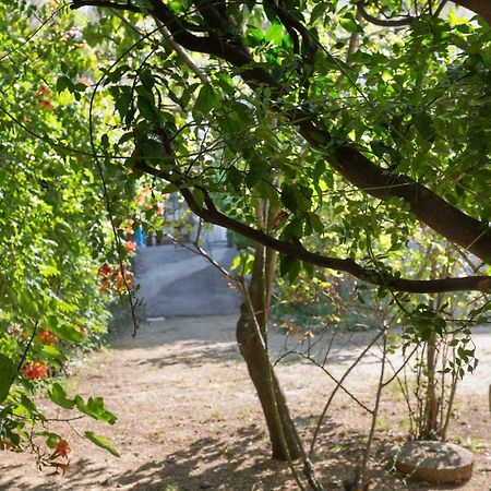 Holiday Home Jovis Drvenik  Luaran gambar