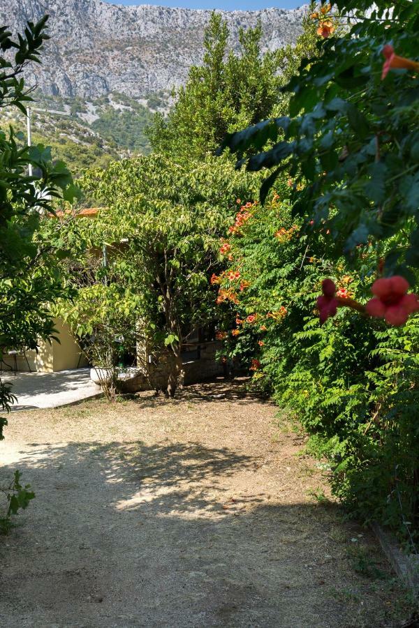Holiday Home Jovis Drvenik  Luaran gambar